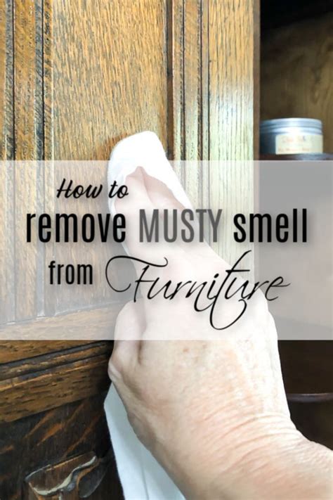 remove musty smell from apartment